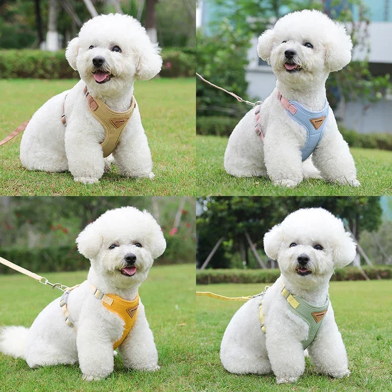 Pawora Comfort Harness