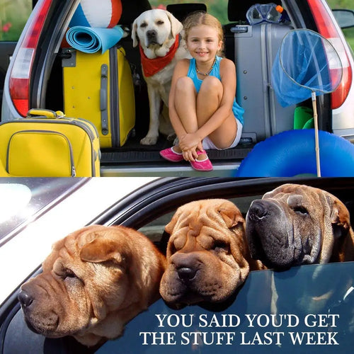 Pawora™ Car Safety Seat Belt for Dogs & Cats